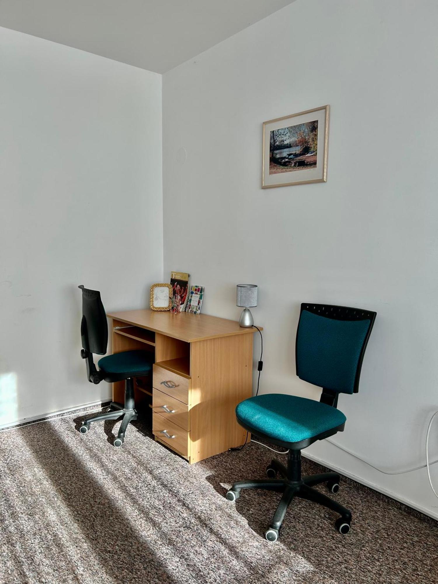 Cozy Apartment In The City Centre Next To Dom Square Szeged Exterior photo