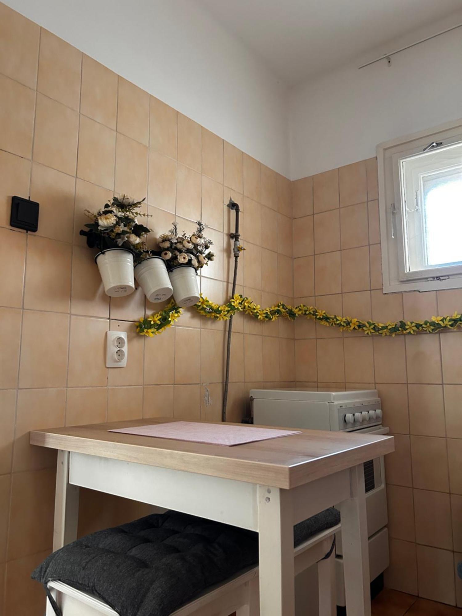 Cozy Apartment In The City Centre Next To Dom Square Szeged Exterior photo